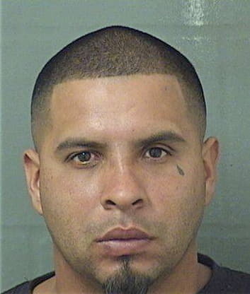 Alexander Ramos, - Palm Beach County, FL 